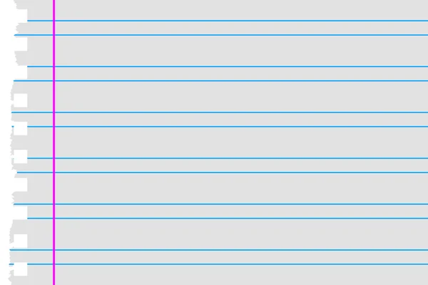 Διπλή γραμμές με σκισμένο χαρτί περιθώριο — Διανυσματικό Αρχείο