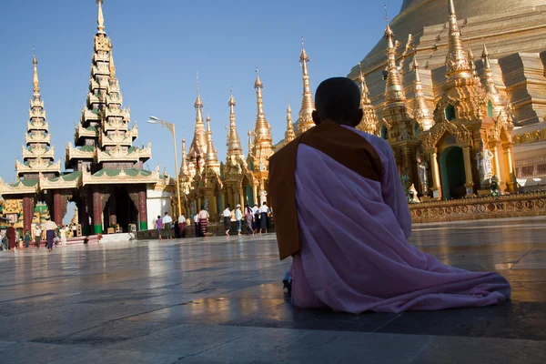 Modląc się mnich w Shwedagon pagoda — Zdjęcie stockowe