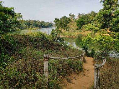 Güney Hindistan 'daki Coorg' da Cauvery Nehri 'ne giden bir patika.