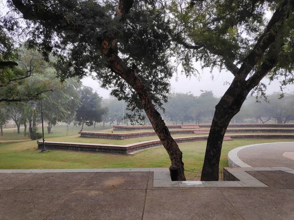 Grande Anfiteatro Público Parque Cercado Por Árvores — Fotografia de Stock