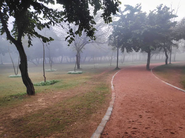 Stezka Přes Městský Park Několika Stromy Mlhavého Zimního Rána — Stock fotografie