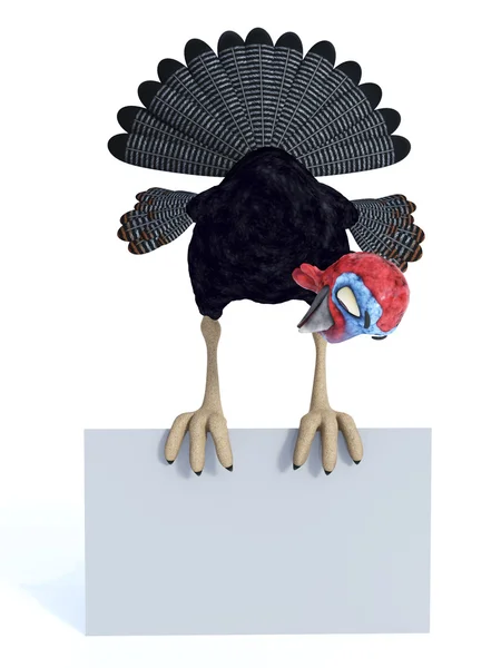 Silly toon turkey sitting on blank sign. — Stock Photo, Image