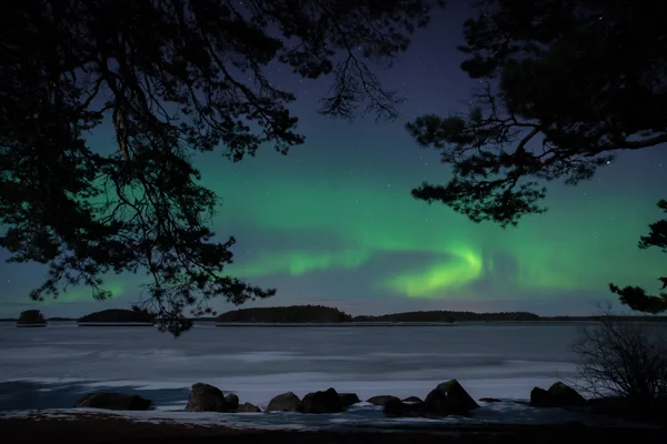 Northern lights over frozen lake — Stock Photo, Image