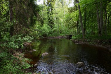 Yaz aylarında nehir