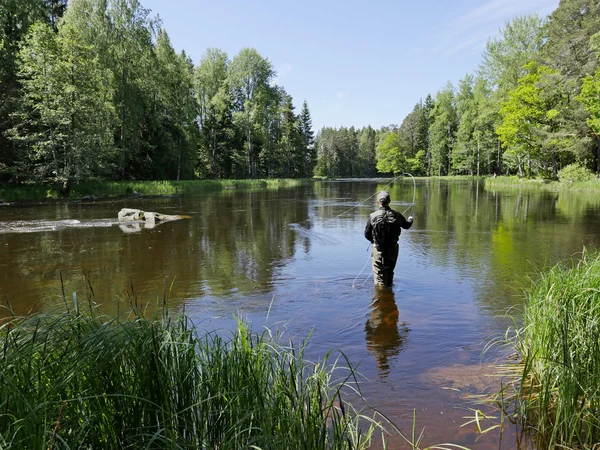 Pesca in estate — Foto Stock