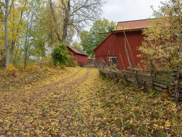 Chalet rural — Photo