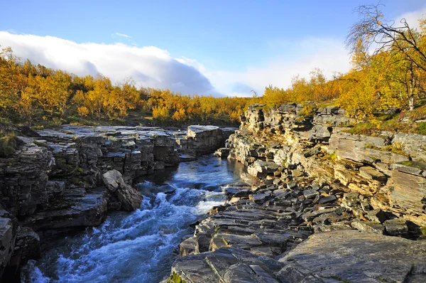 River in autumn — Stock Photo, Image