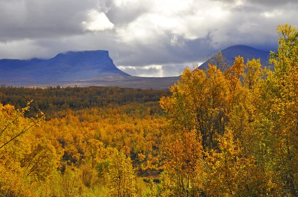 Berg im Herbst — Stockfoto