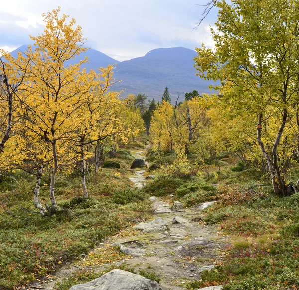 Mountain in autumn — Stock Photo, Image