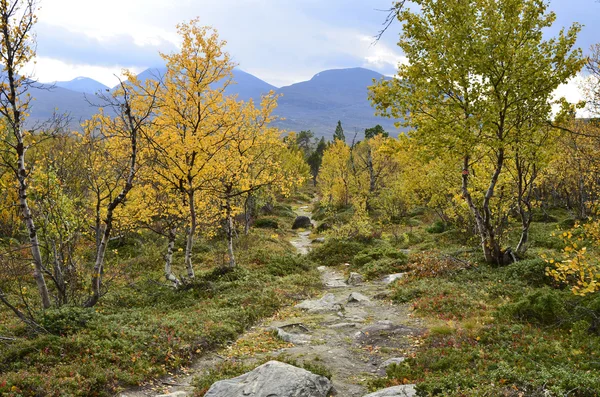 Dağda sonbahar — Stok fotoğraf