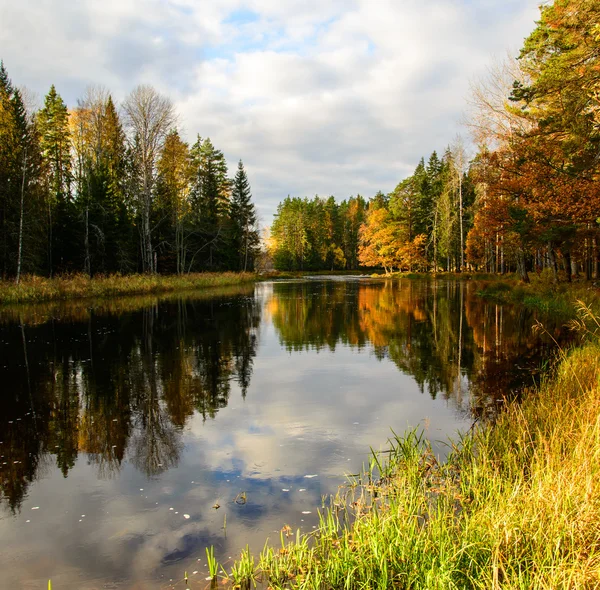 Flod i höst — Stockfoto