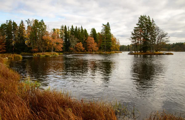 Река осенью — стоковое фото