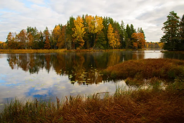 Fluss im Herbst — Stockfoto