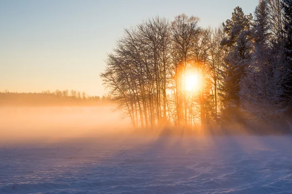 Paisaje invierno — Foto de Stock