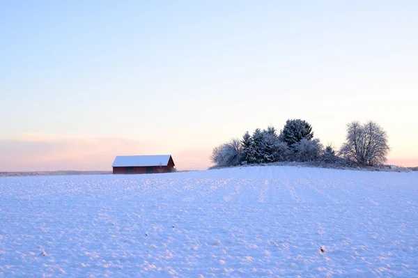 Paysage hivernal — Photo