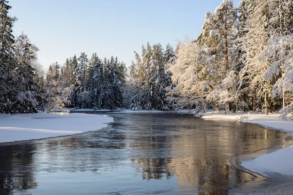 Fiume in inverno — Foto Stock