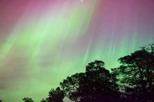 Northern lights — Stock Photo, Image