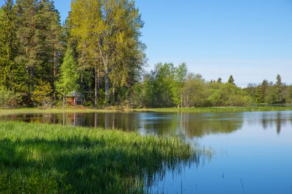 Flod på våren — Stockfoto