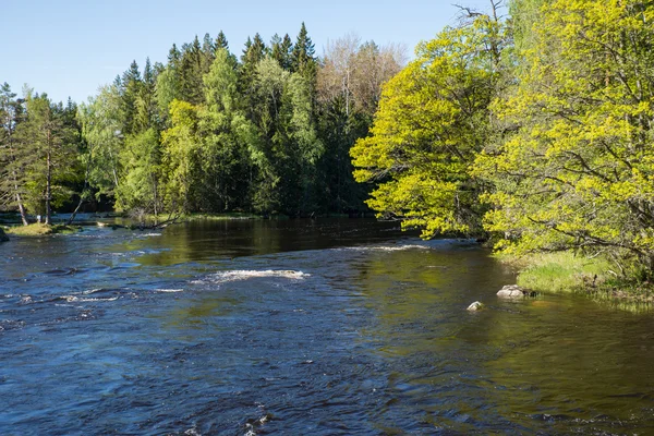 Flod på våren — Stockfoto