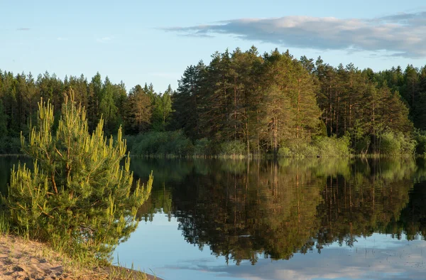 Solnedgång sjö — Stockfoto