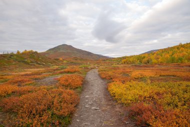 dağda sonbahar