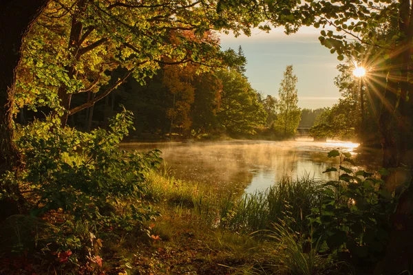 Floden i Sverige — Stockfoto