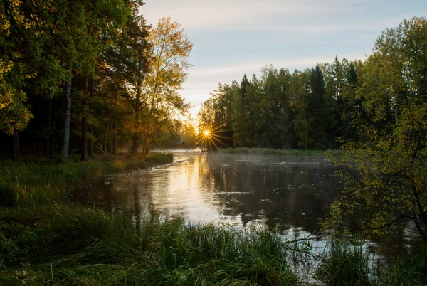 Řeka ve Švédsku — Stock fotografie