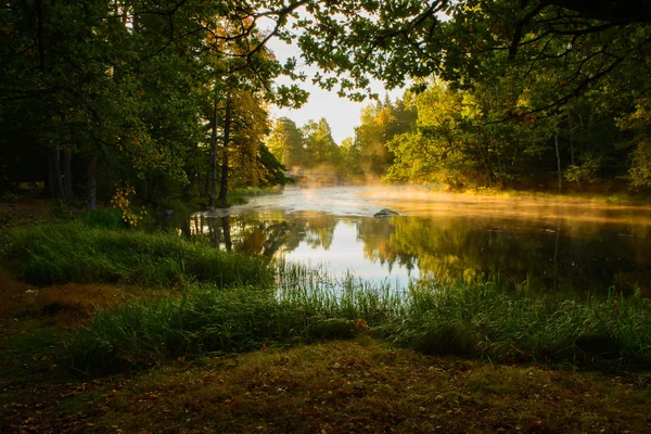 Floden i Sverige — Stockfoto