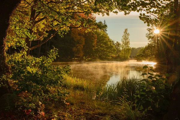 Річка в Швеції Стокове Зображення