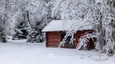 Kır manzarası soğuk bir kış manzarası. Kar ve buzla kaplı.