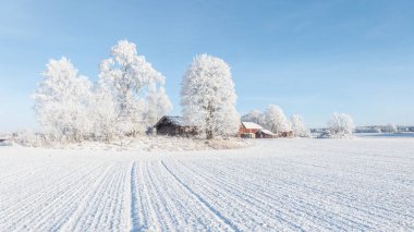 Kır manzarası soğuk bir kış manzarası. Kar ve buzla kaplı.