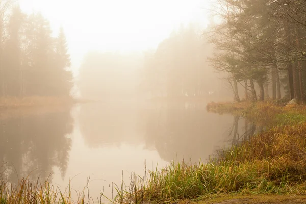 Fluss im Nebel — Stockfoto