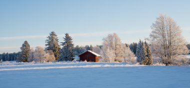 İsveç'te kış manzara