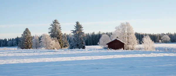 Winterliche Landschaft in Schweden — Stockfoto