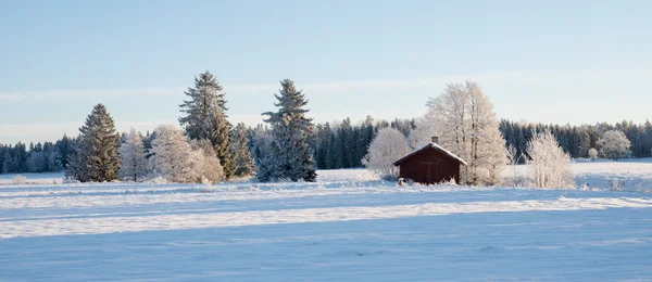 Paisaje invernal en Suecia — Foto de Stock