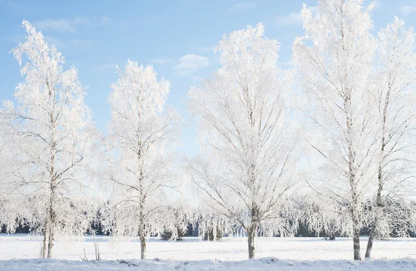 Paesaggio invernale in Svezia — Foto Stock