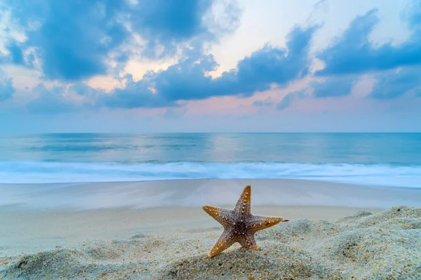 Starfish on the beach at sunrise — Stock Photo, Image