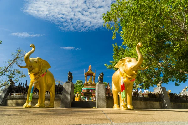 Elefanten am Leuchtturmtempel von Phuket — Stockfoto