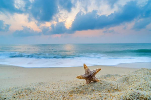 Starfish on the beach at sunrise — Stock Photo, Image