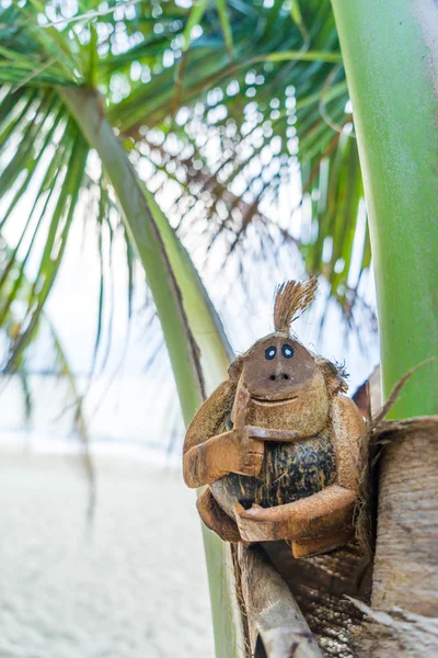Scimmia di cocco in spiaggia — Foto Stock