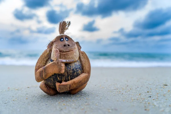 Kokos apa på stranden — Stockfoto
