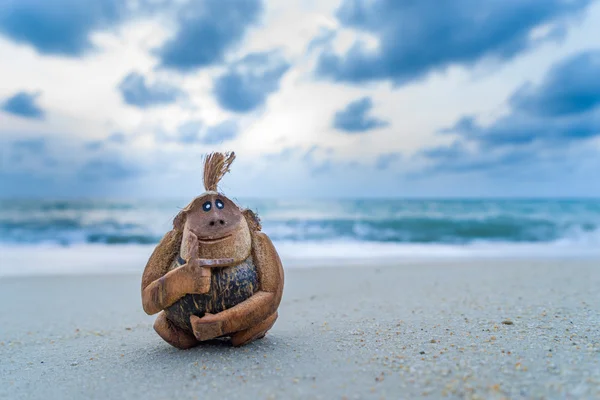 Singe de noix de coco à la plage — Photo