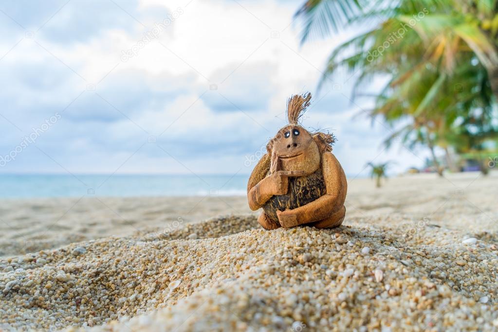 Coconut monkey at the beach