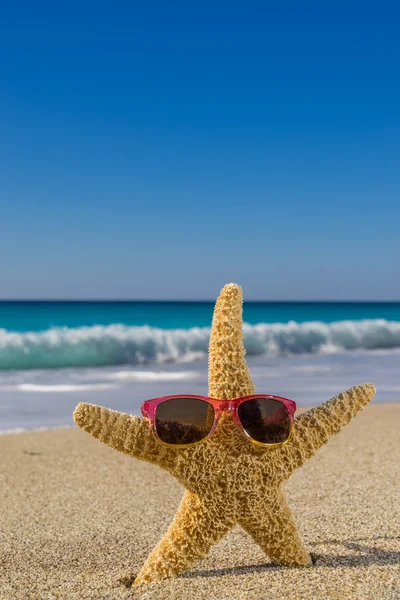 Морская звезда в солнечных очках на пляже — стоковое фото
