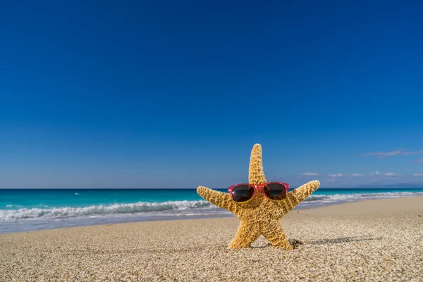 Starfish with sunglasses  on the beach — Stock Photo, Image