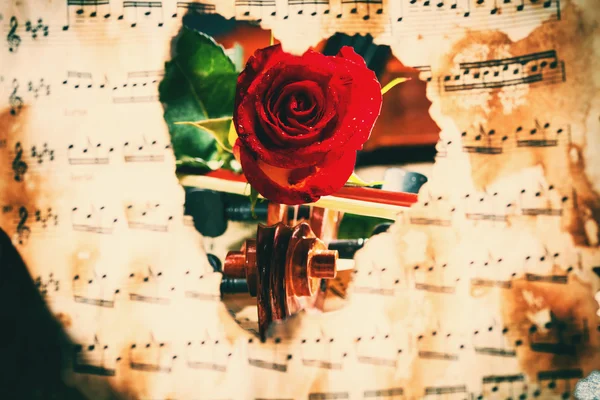 Violin sheet music and rose — Stock Photo, Image