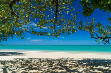 Khao Lak tropikal plaj 