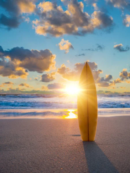 Planche Surf Sur Plage Coucher Soleil — Photo