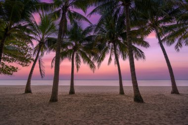 Karayip Adaları Plajı