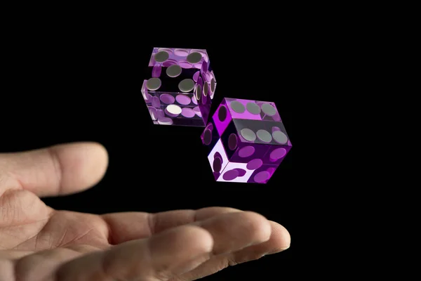Real Casino Precision Purple Craps Dice — Stock Photo, Image